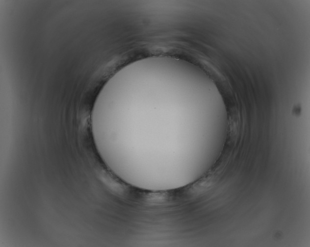 X0000090860574200708241901