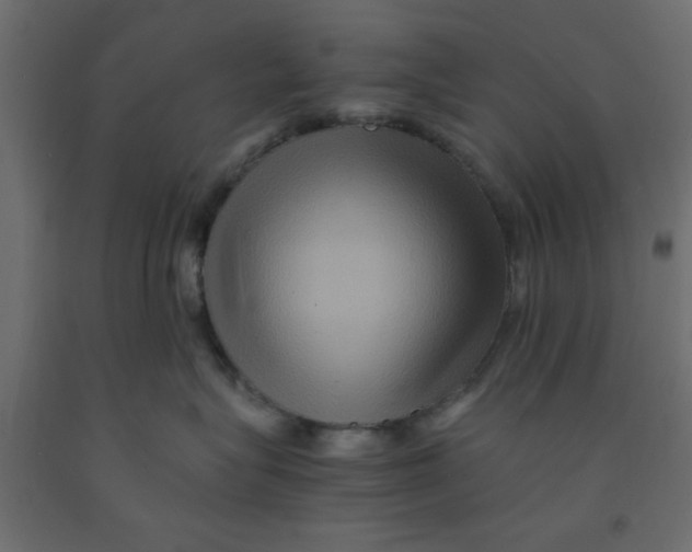 X0000090860575200708241901