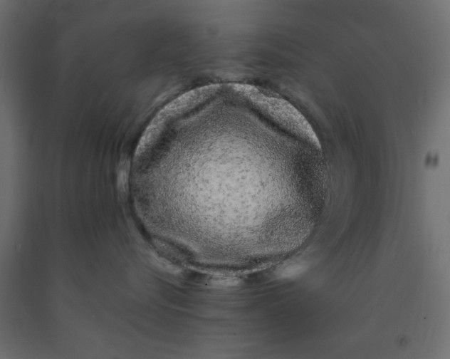 X0000090860576200708241901