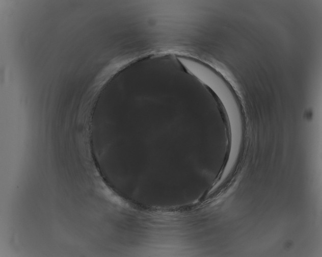 X0000090860577200708241900