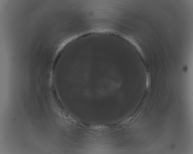 X0000090860579200708241900