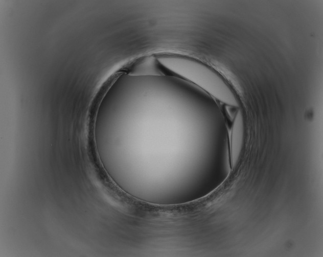 X0000090860580200708241900