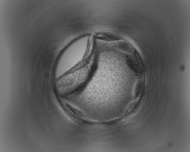 X0000090860581200708241900