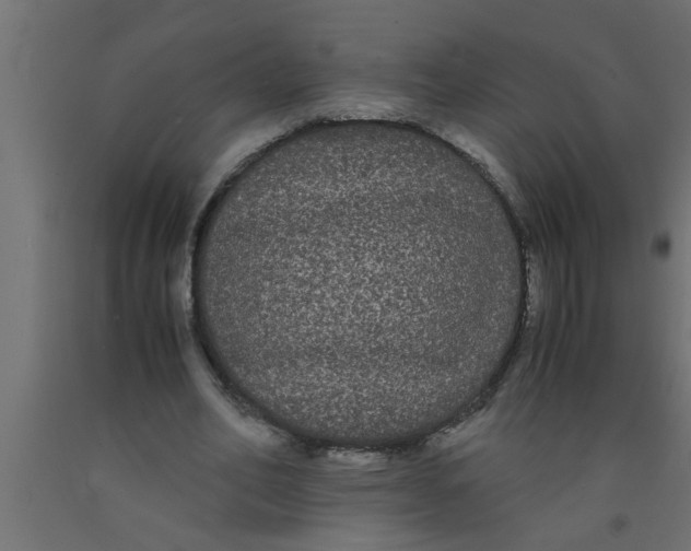 X0000090860582200708241900