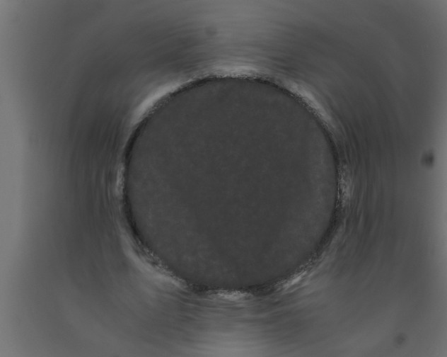 X0000090860583200708241900