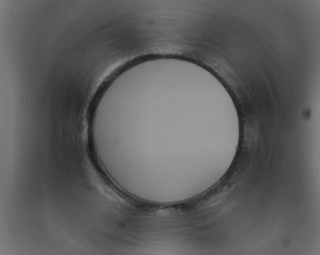 X0000090860584200708241900