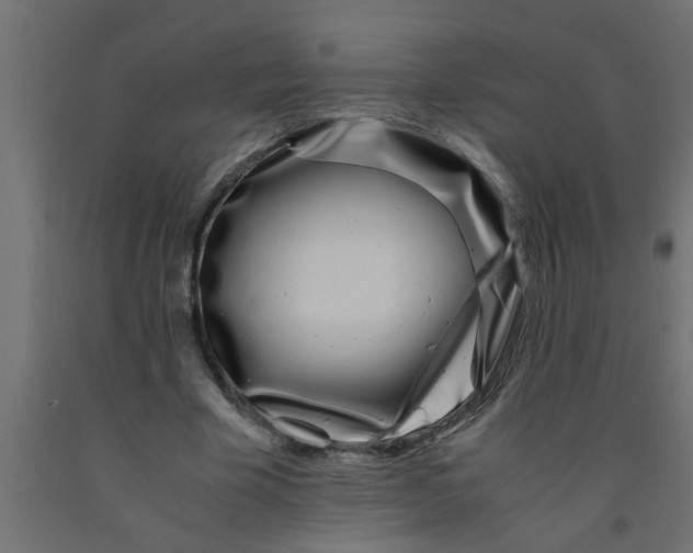 X0000090860585200708241900