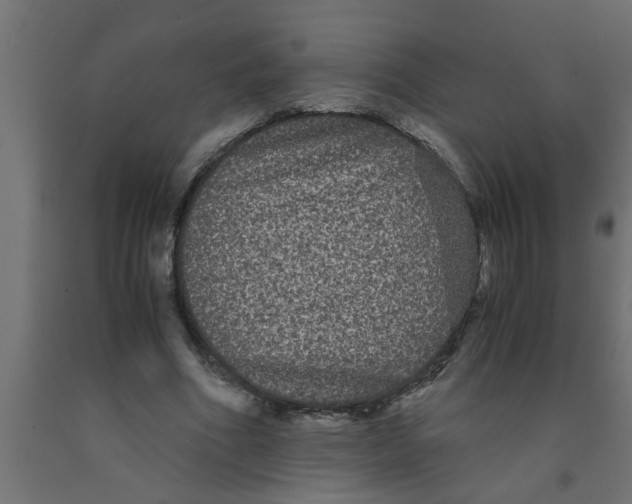 X0000090860586200708241900