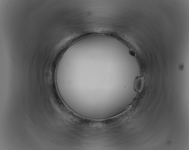 X0000090860587200708241900