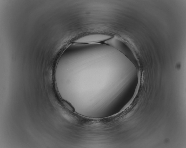 X0000090860589200708241900