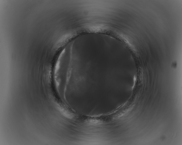 X0000090860590200708241900