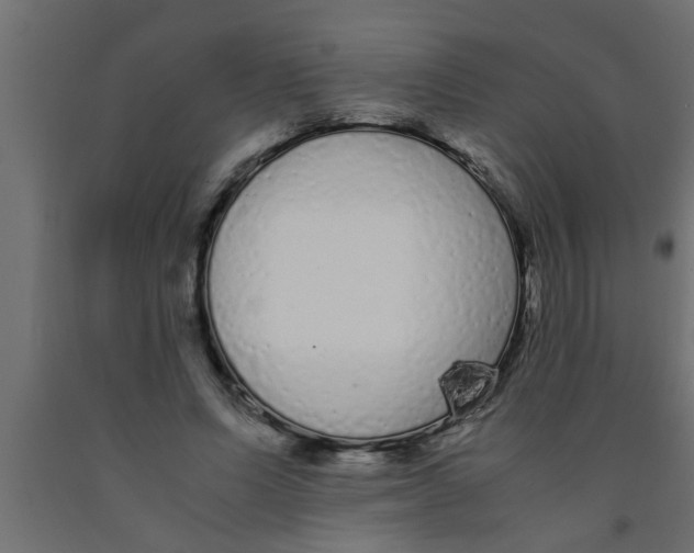 X0000090860591200708241900