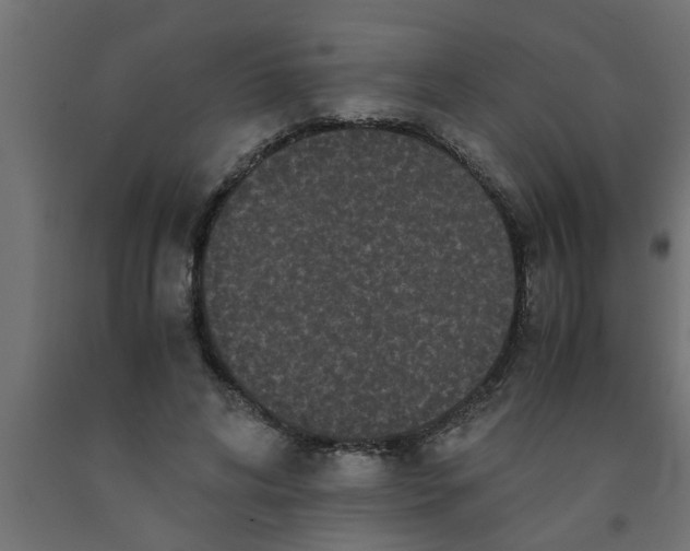 X0000090860592200708241900