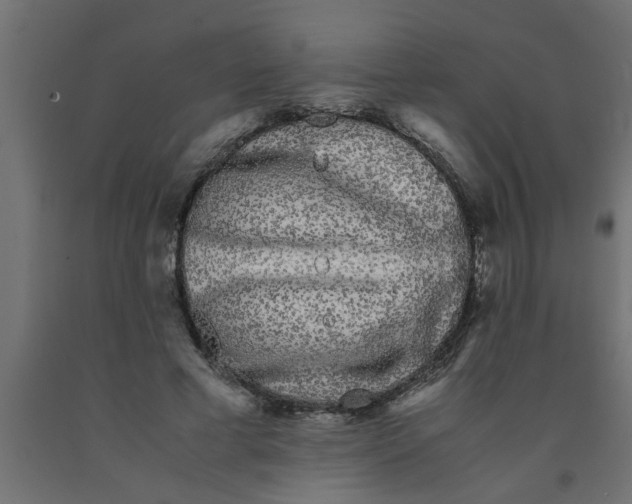 X0000090860593200708241900