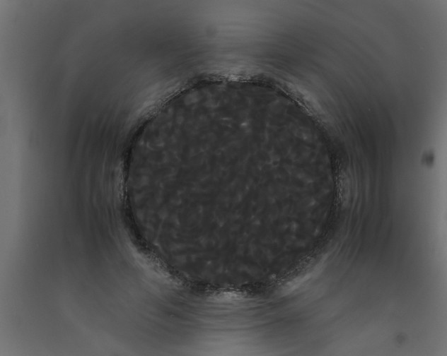 X0000090860594200708241900