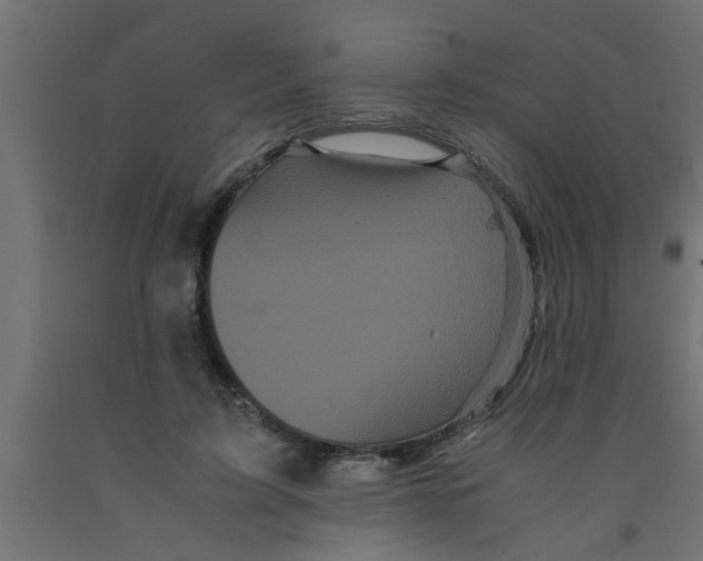 X0000090860595200708241900