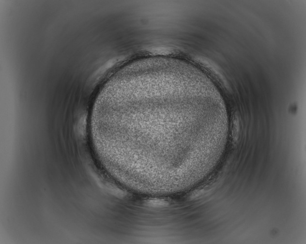 X0000090860596200708241900