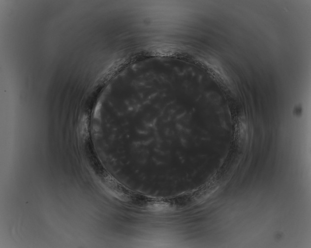 X0000090860598200708241900