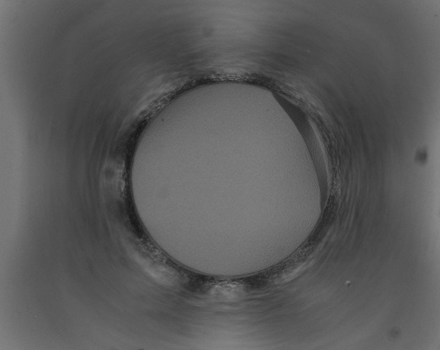 X0000090860599200708241900