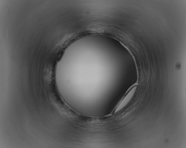 X0000090860600200708241900