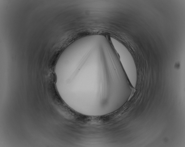 X0000090860601200708241900