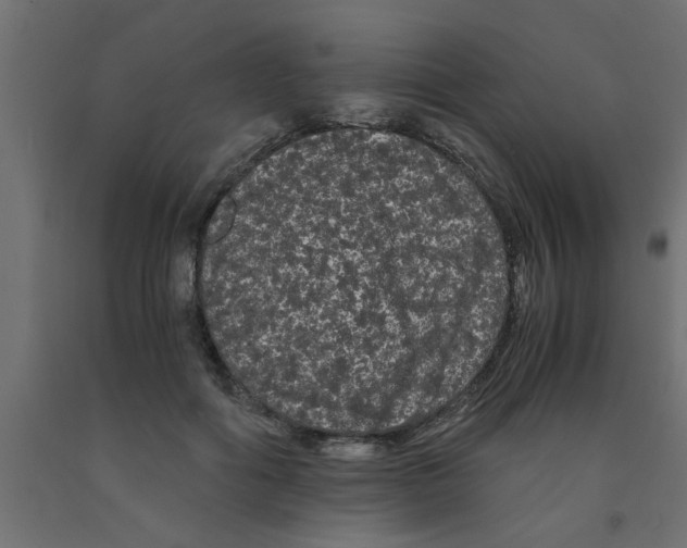 X0000090860602200708241900