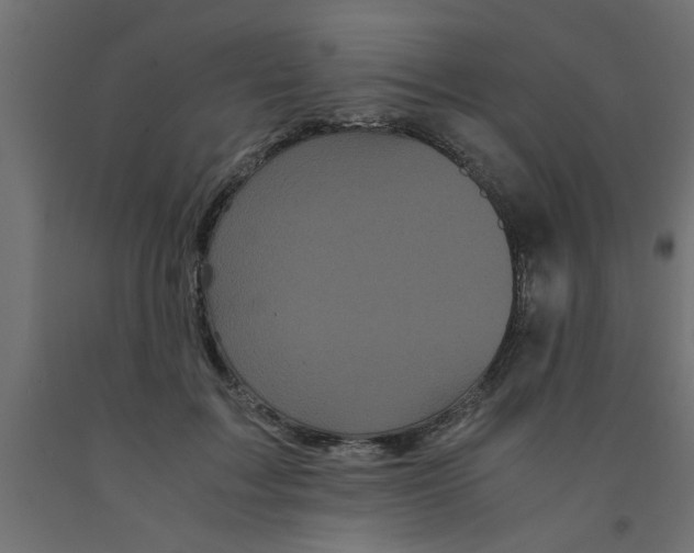 X0000090860603200708241900