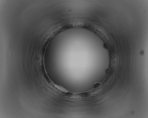 X0000090860604200708241900