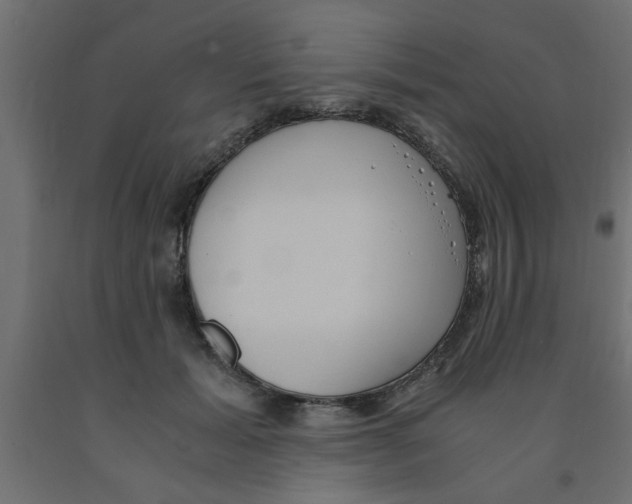 X0000090860605200708241900