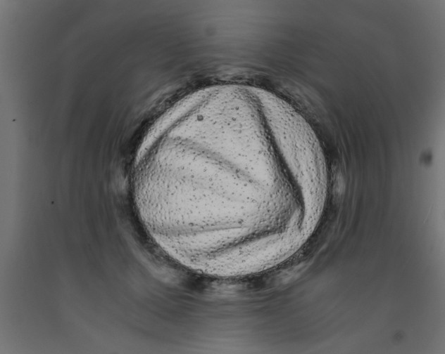 X0000090860607200708241900