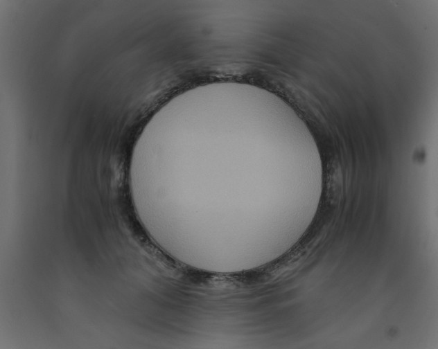 X0000090860608200708241900