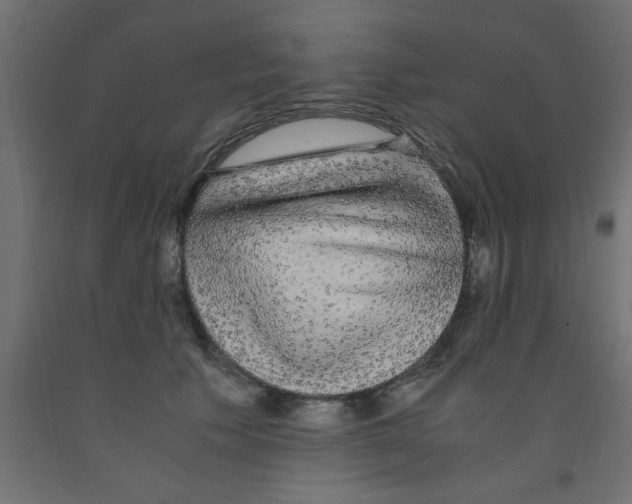 X0000090860609200708241900