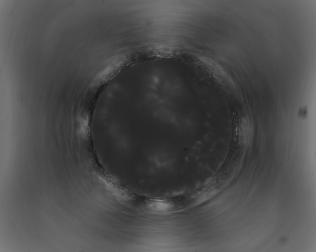 X0000090860610200708241900