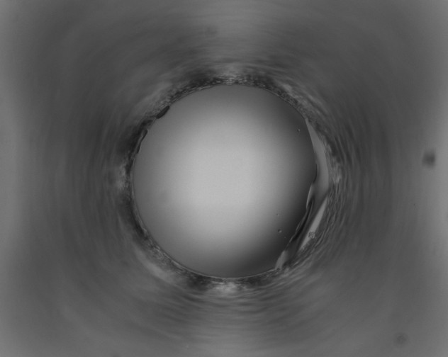 X0000090860611200708241900