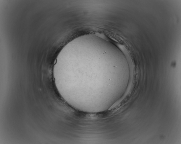 X0000090860613200708241900