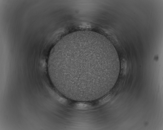 X0000090860614200708241900