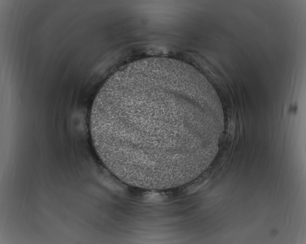 X0000090860616200708241900