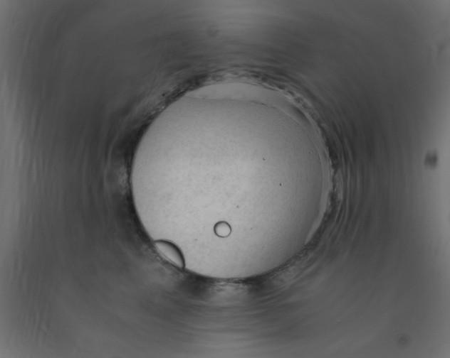 X0000090860617200708241900