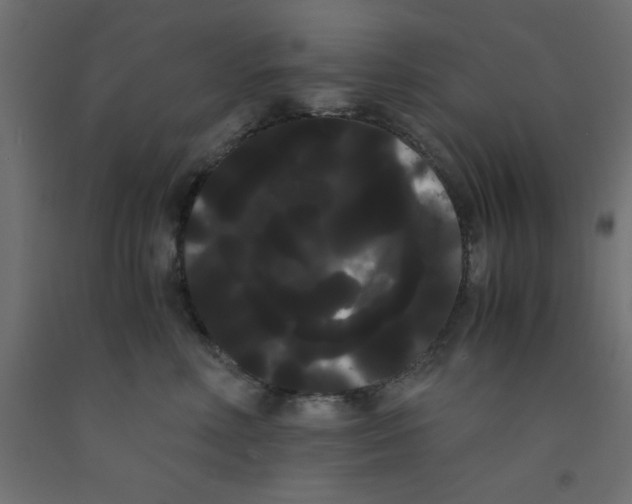 X0000090860618200708241900