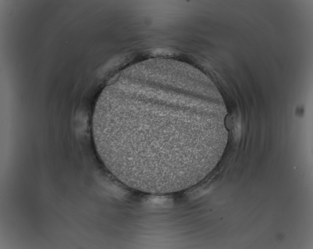 X0000090860619200708241900