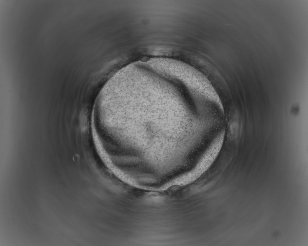 X0000090860620200708241900