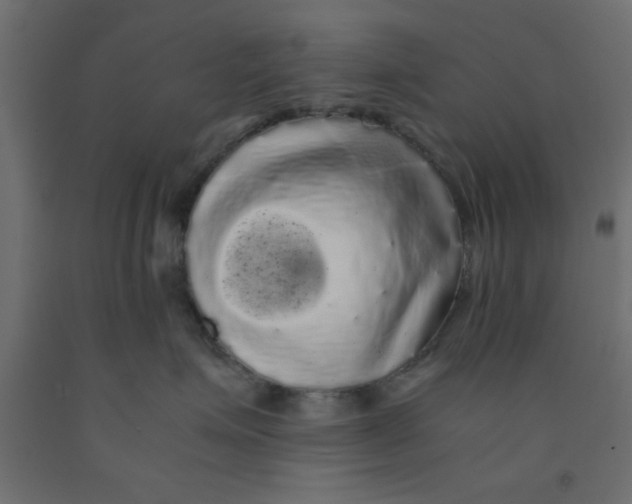 X0000090860623200708241900