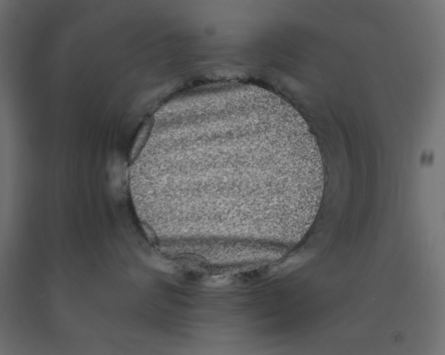 X0000090860624200708241900