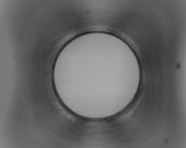 X0000090860625200708241859