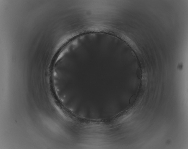 X0000090860626200708241859