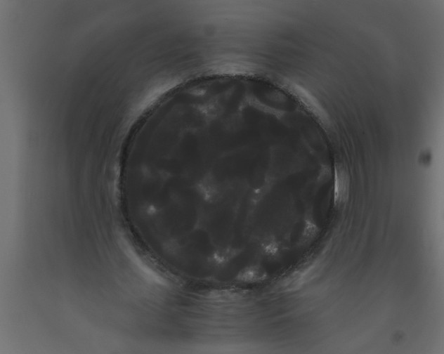 X0000090860627200708241859