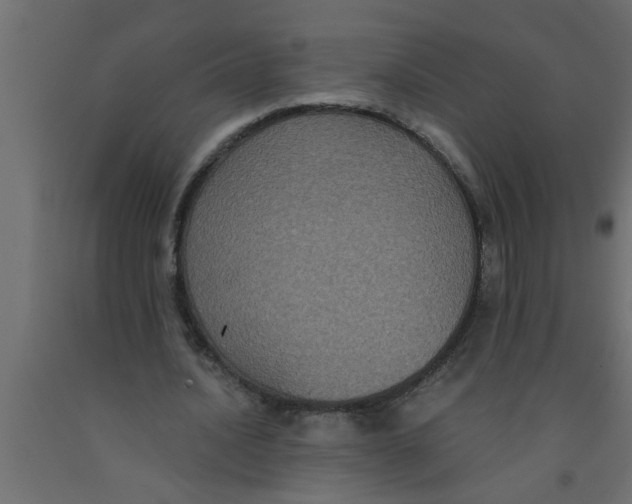 X0000090860628200708241859