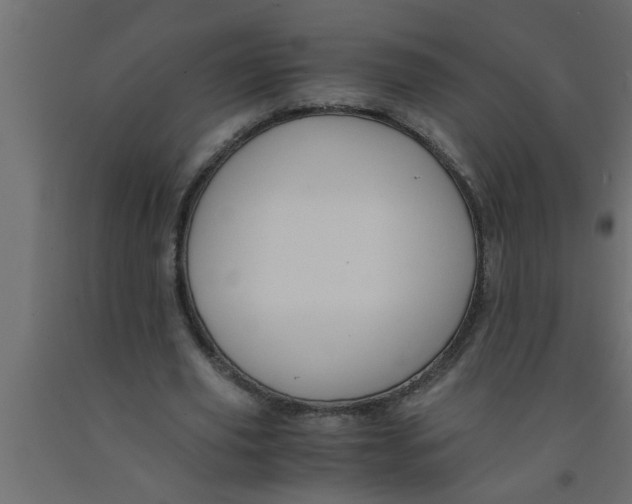 X0000090860629200708241859