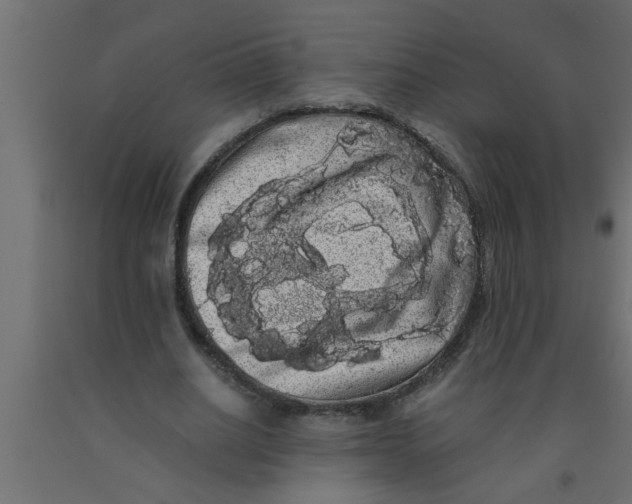 X0000090860630200708241859