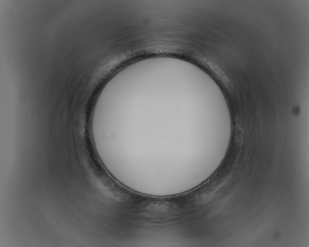 X0000090860631200708241859